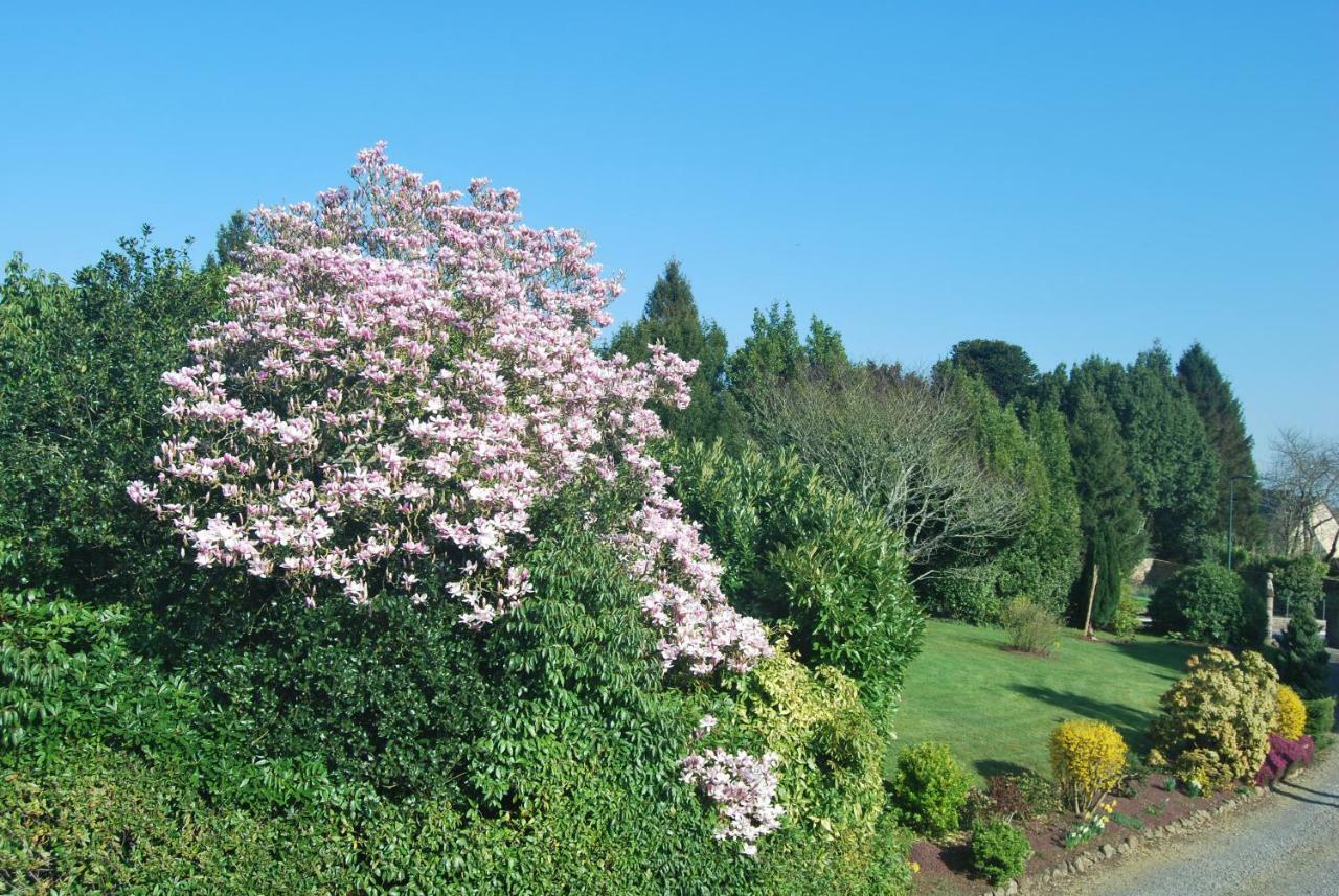 Saint-Senier-sous-Avranches B&B Le Mesnil المظهر الخارجي الصورة