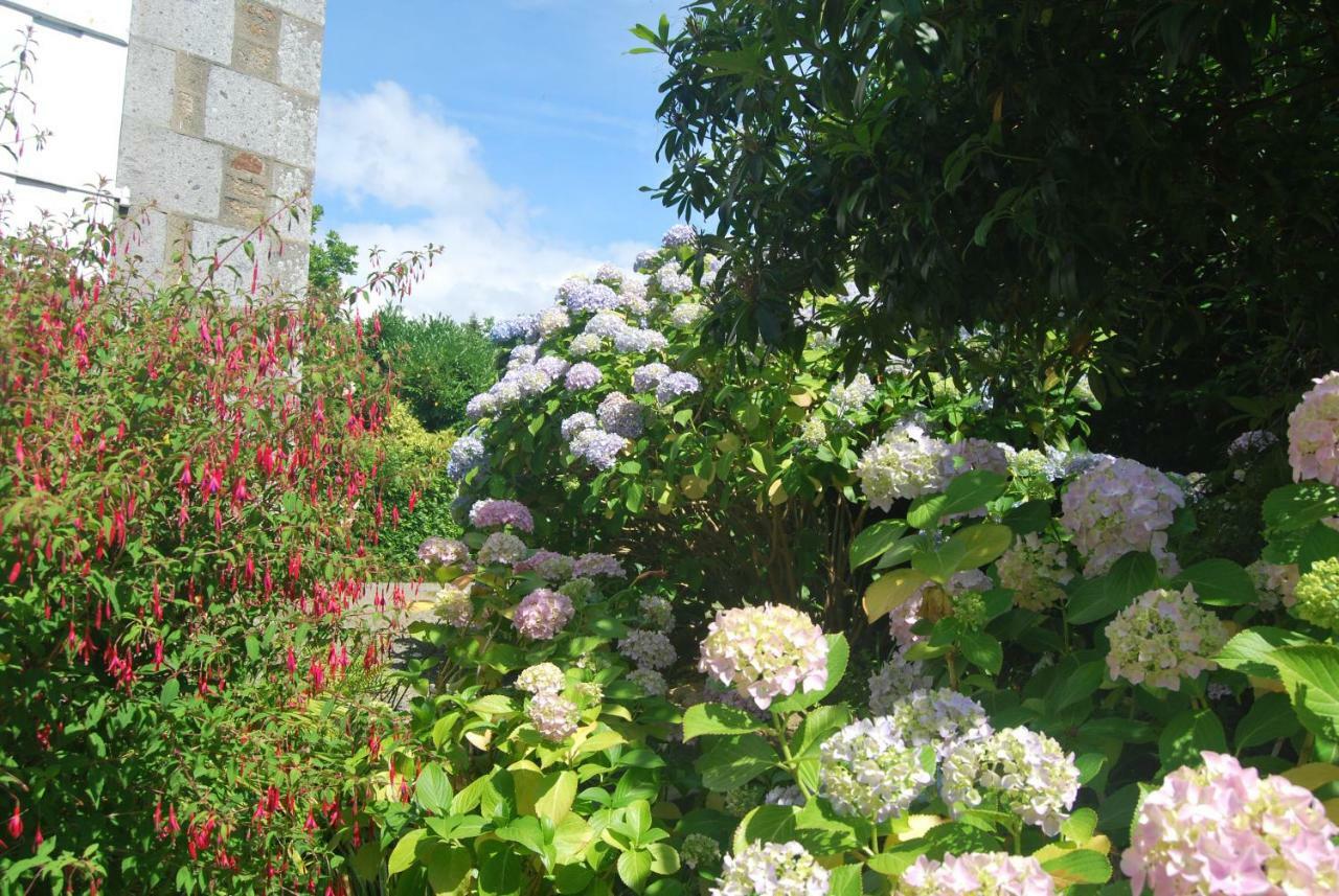 Saint-Senier-sous-Avranches B&B Le Mesnil المظهر الخارجي الصورة